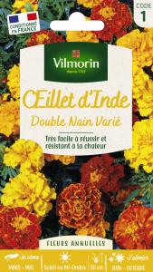 Oeillet d'inde double nain mix